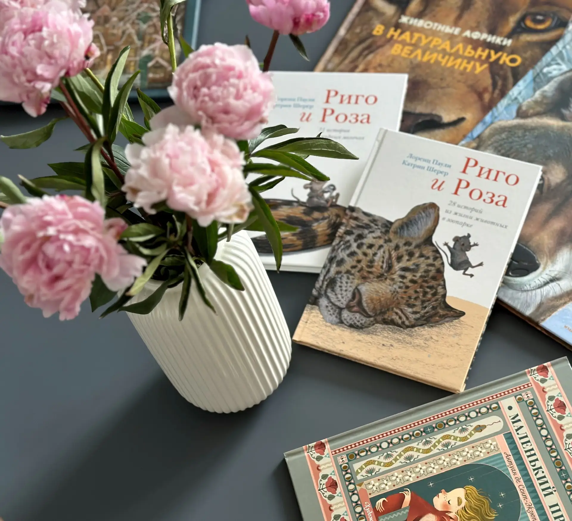 Читальный уголок | Книги, путешествия, досуг