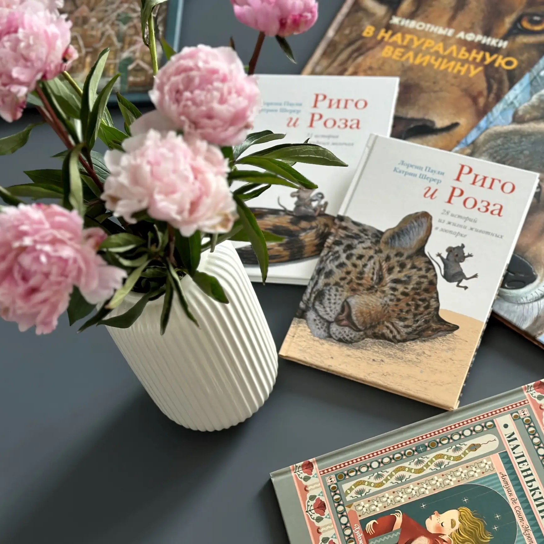 Читальный уголок | Книги, путешествия, досуг, обзоры, экскурсии, по России, Москва, театр, музей, настолки, помощь маме, Маша, Наташа, Катя, Лена, Оля, Вика, хоккей