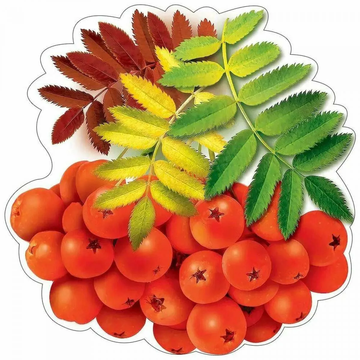 Детский сад № 18 "Рябинка"