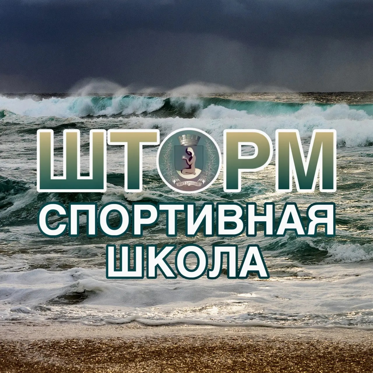МБУДО «Спортивная школа ШТОРМ»