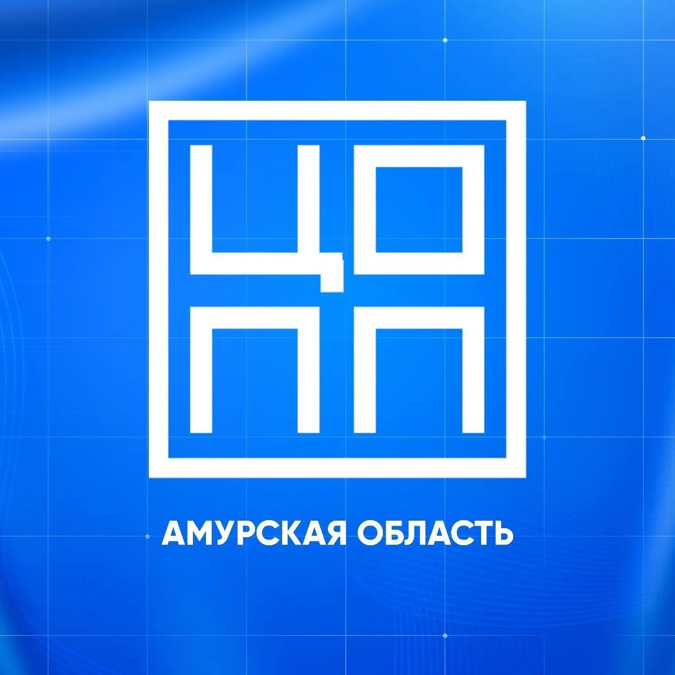 Амурский ЦОПП