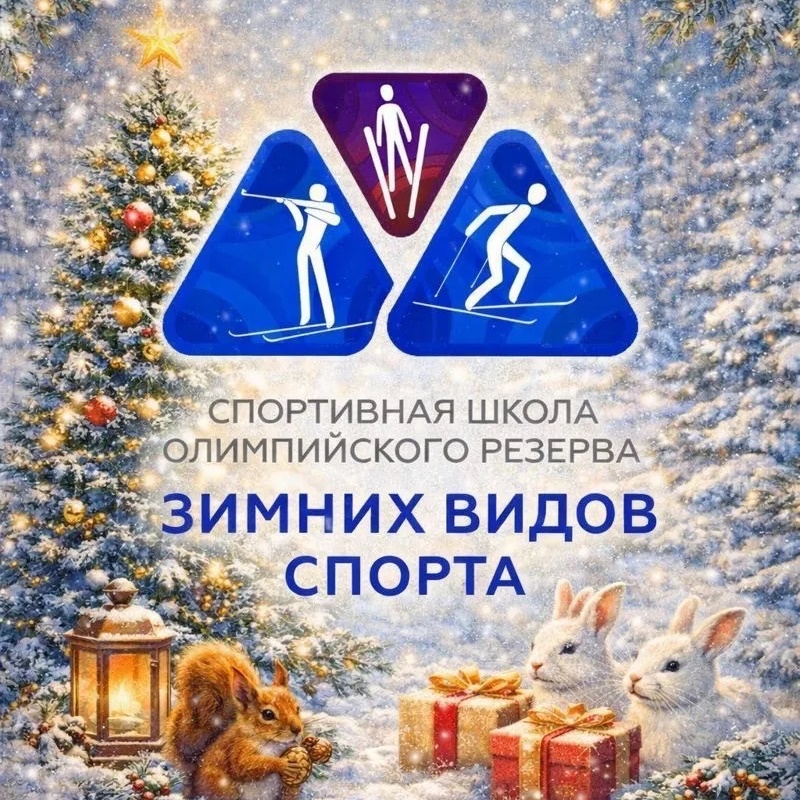 Спортивная школа зимних видов спорта