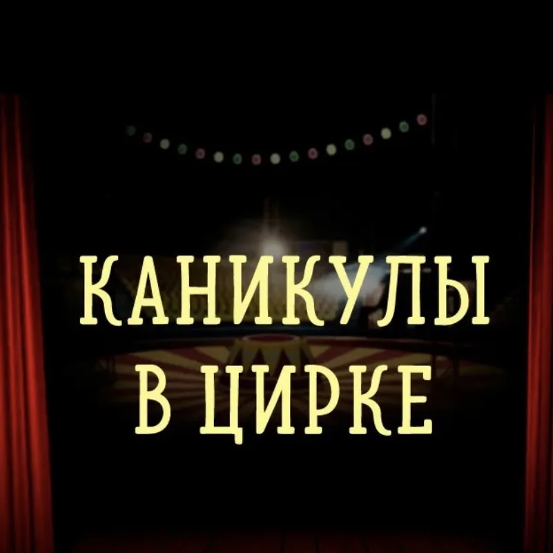 ГБУК ЛНР "Луганский государственный цирк"