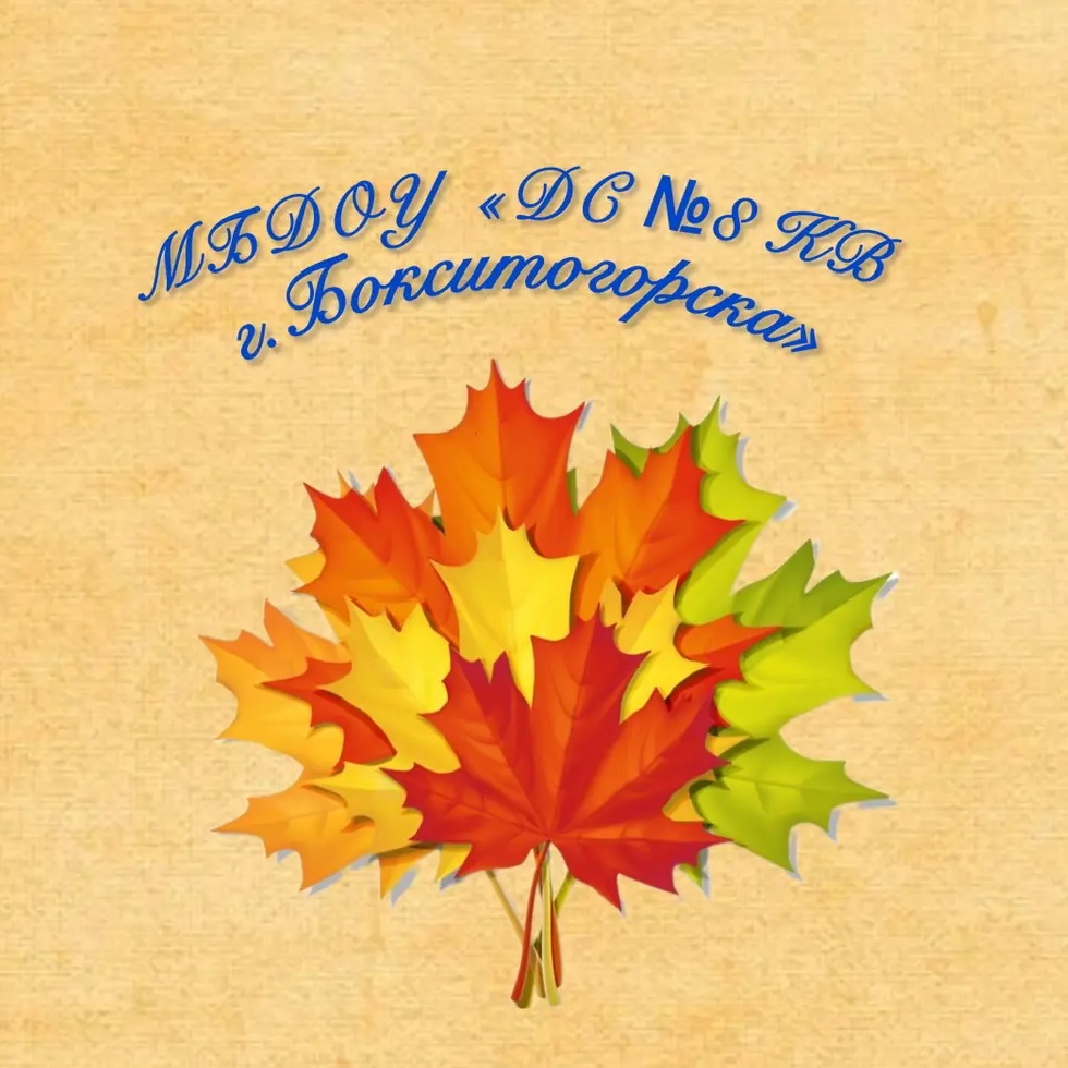 МБДОУ "ДС № 8 КВ г.Бокситогорска"
