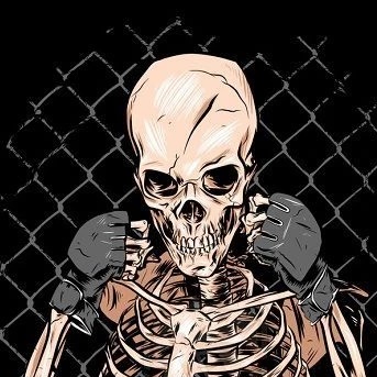 BEST of MMA