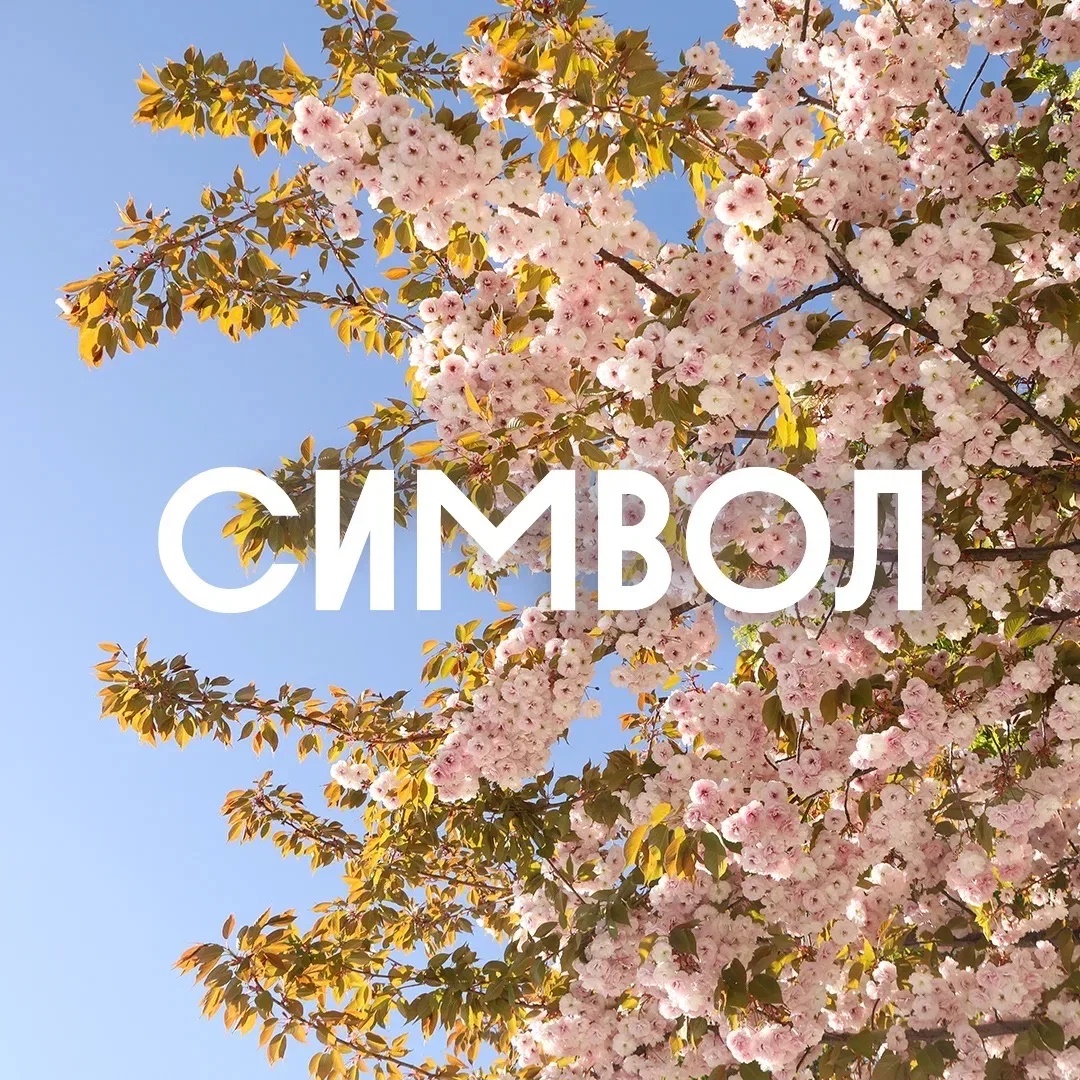 Символ | Донстрой