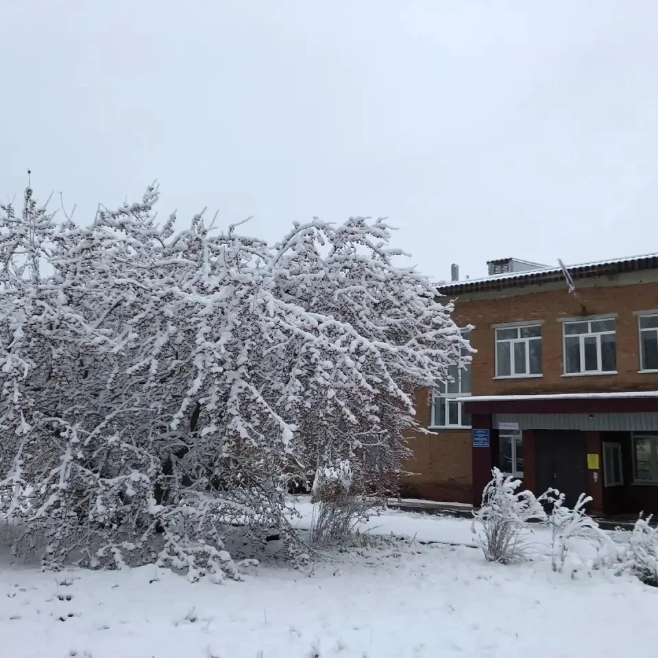 МКОУ Боровская СОШ