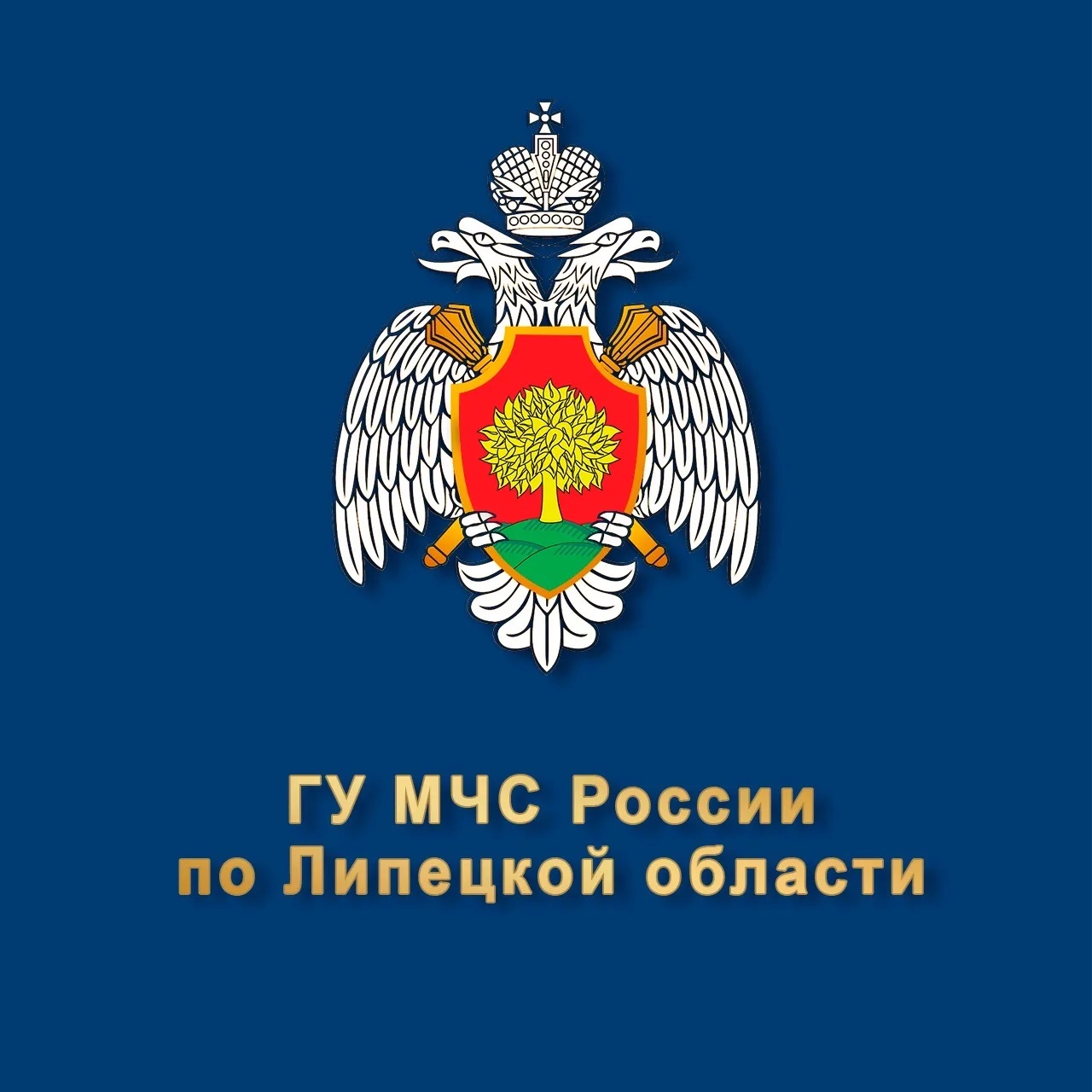 МЧС Липецкой области