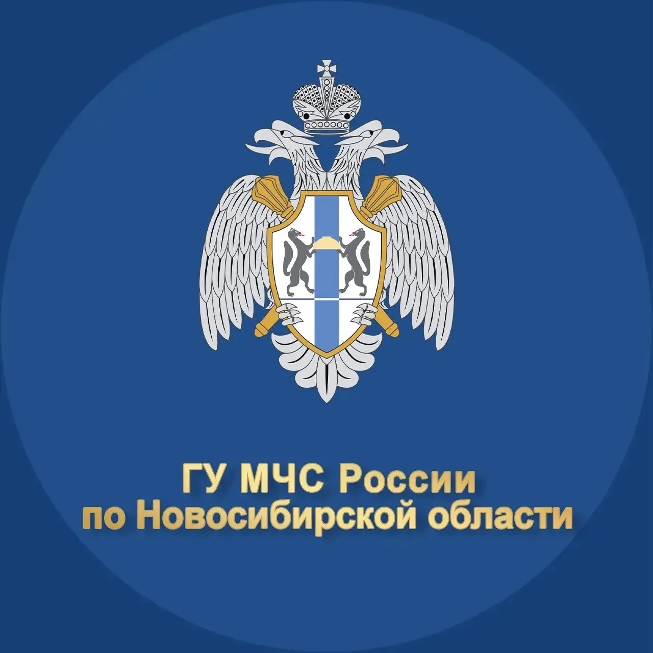 МЧС Новосибирской области