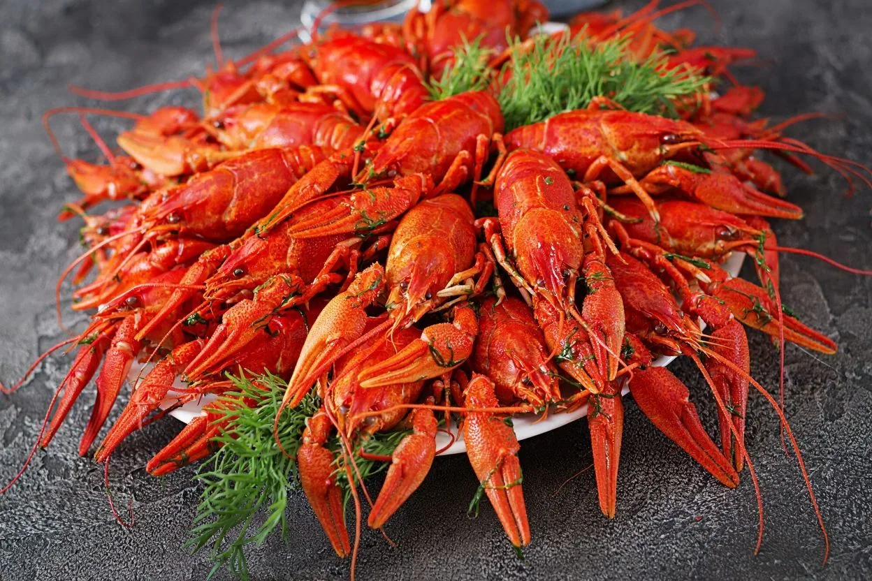 Раки: Компания "Первая Раковая"