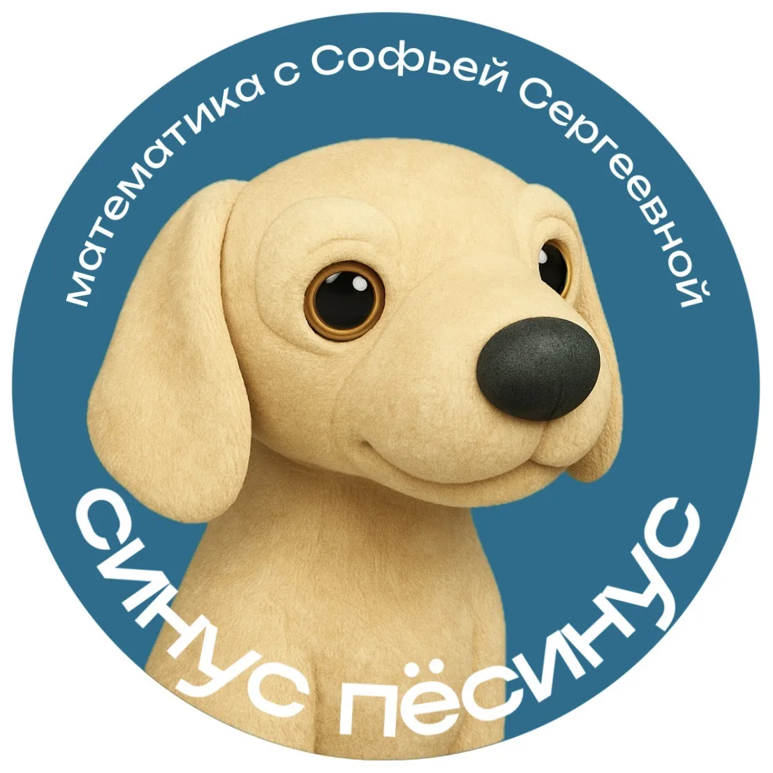 синус пёсинус