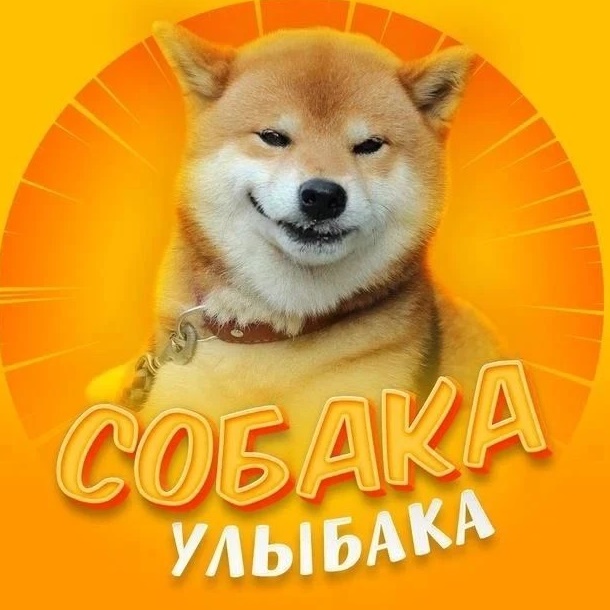 Собакен | Животные Юмор Смех Улыбка Приколы Питомцы Домашние Животные Отдых Развлечение Смех Коты Видео | Смешные коты собаки 2026 | Мемы животных | Угар с питомцами | Вирусные видео собак