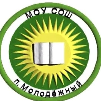 Канал МОУ сош го Молодёжный