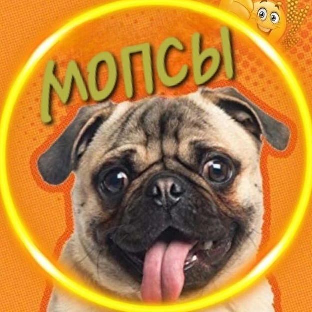 Мопсы 🐶