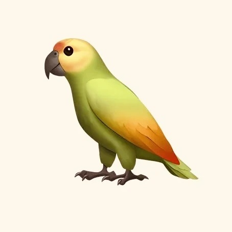 Попугаи. • Попугай • Попугайчик 🦜 Смешные попугаи