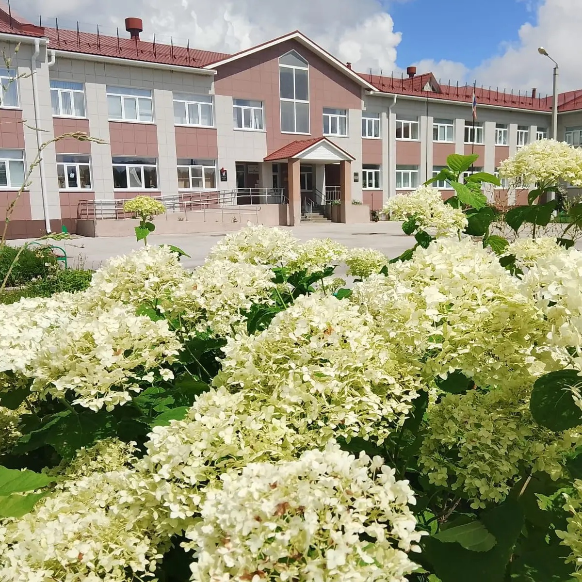 МБОУ "Чапаевская СОШ"