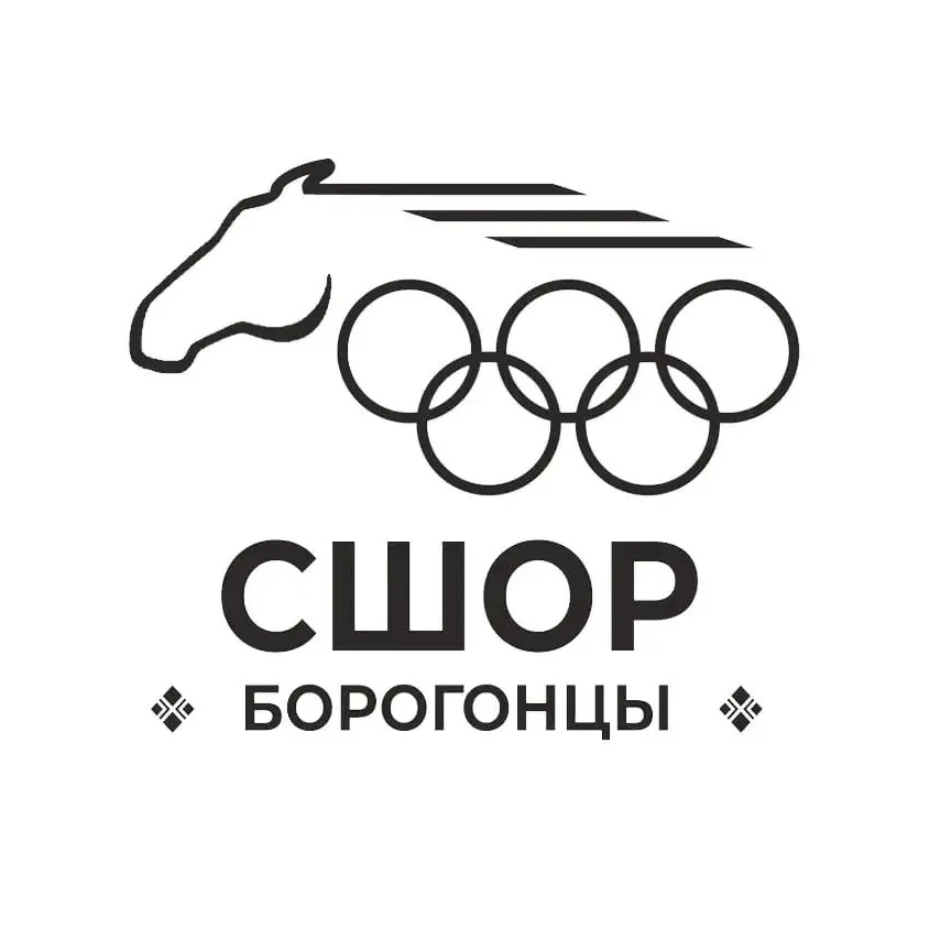 СШОР Борогонцы