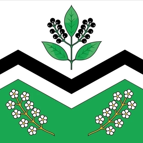 Администрация р. п. Мошково