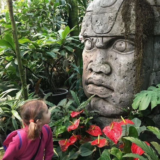 Аптекарский огород МГУ