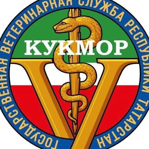 ГБУ "Кукморское РГВО"