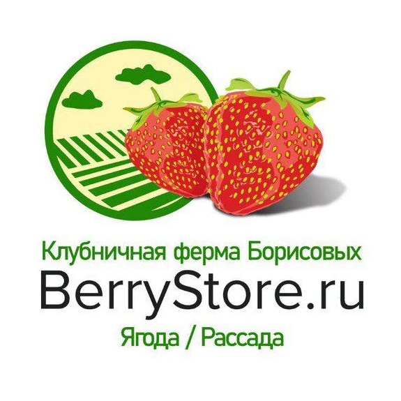 Клубничная ферма Борисовых