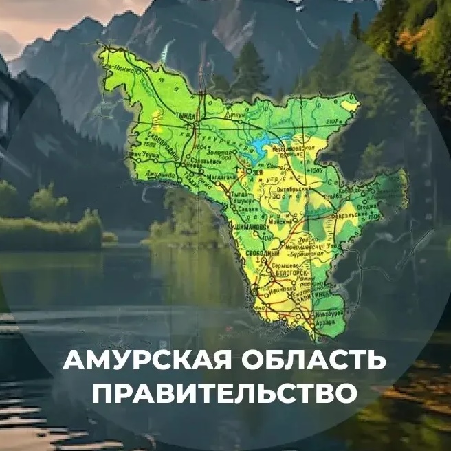 Амурская область | Правительство