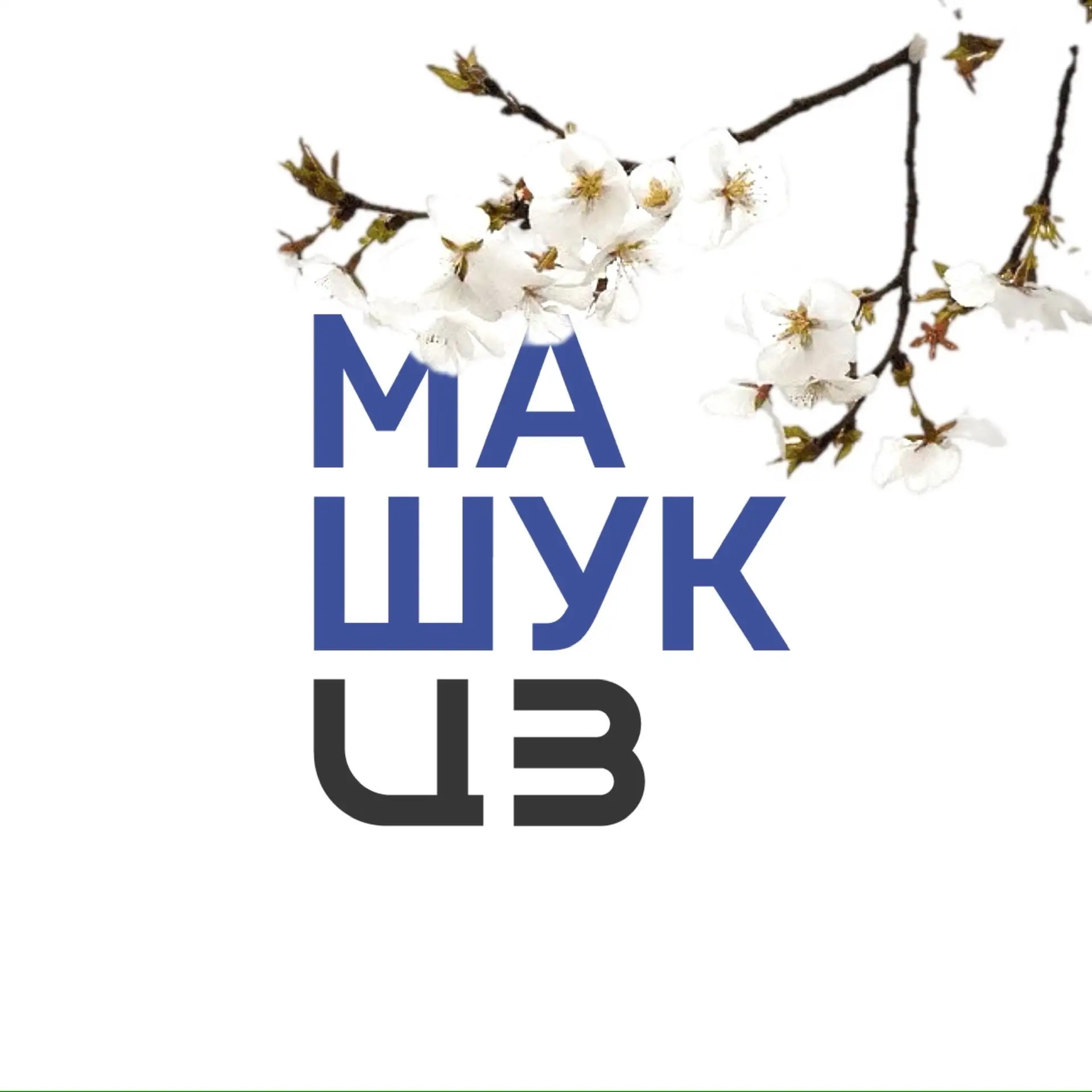 Центр знаний «Машук»