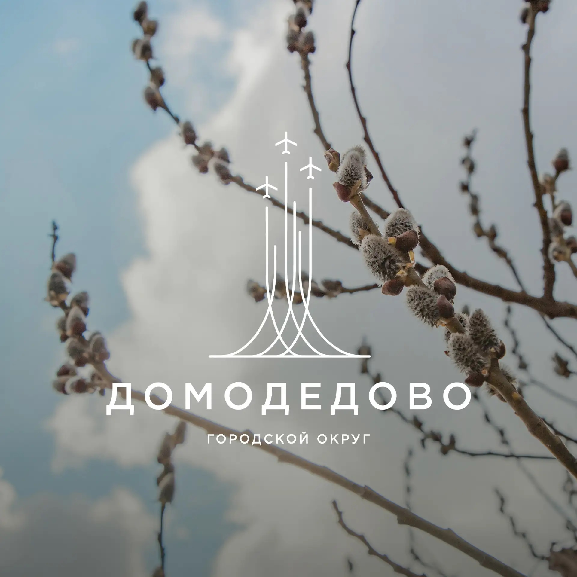 Администрация городского округа Домодедово