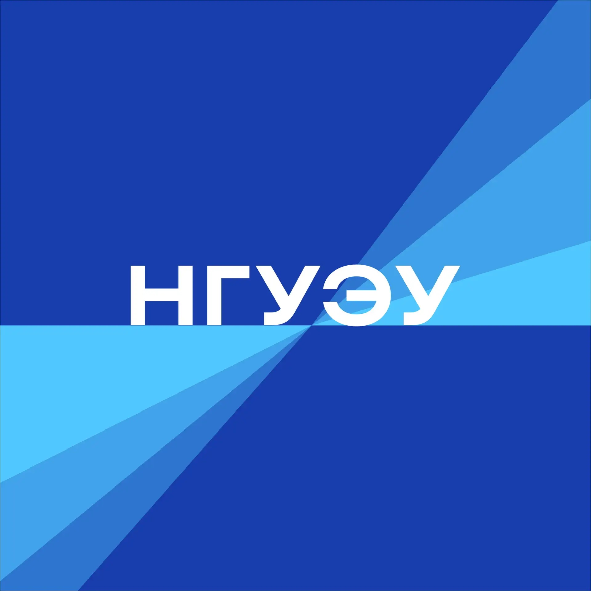 НГУЭУ