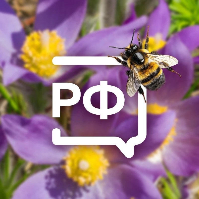 Объясняем. Ленинградская область
