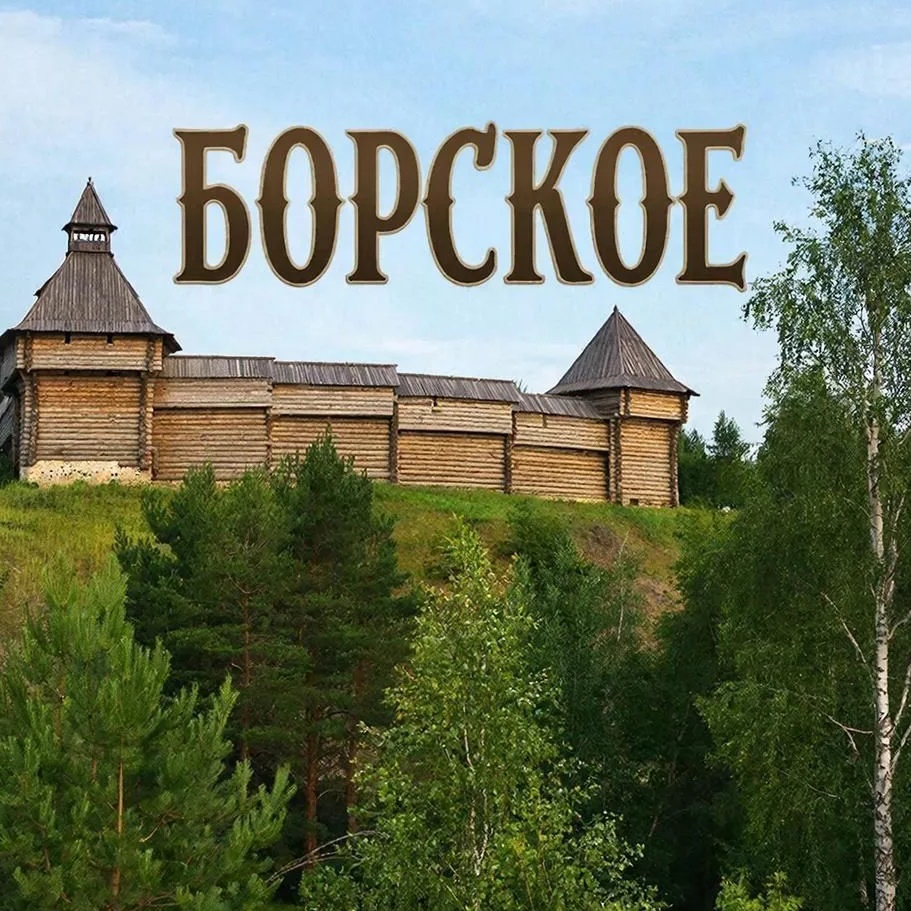 Администрация сельского поселения Борское Самарской области