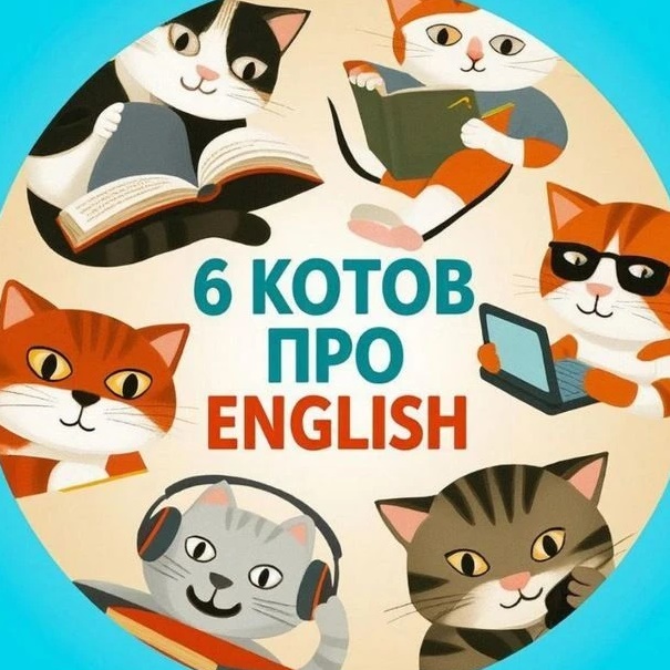 6 котов про English