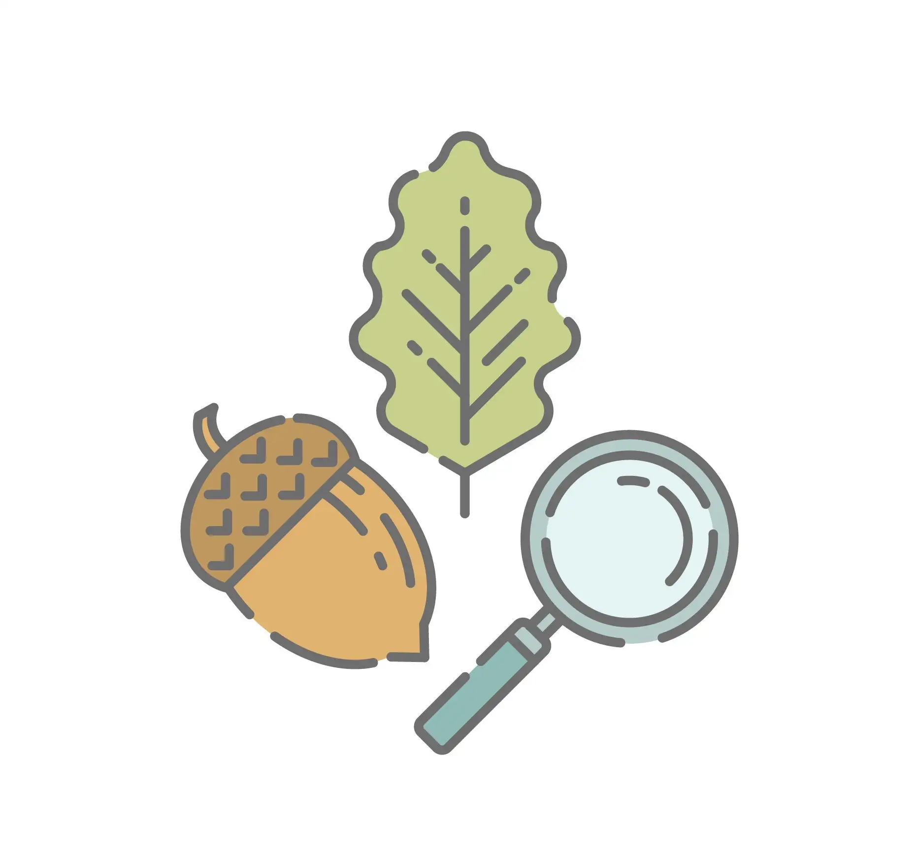 Ботанический сад Петра Великого