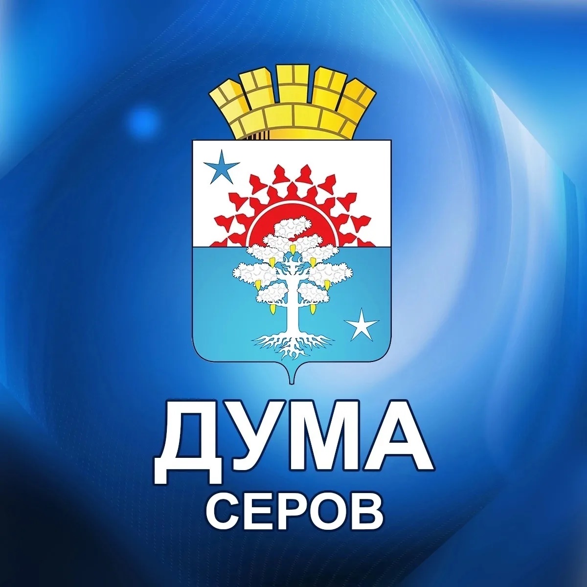 Дума Серовского муниципального округа