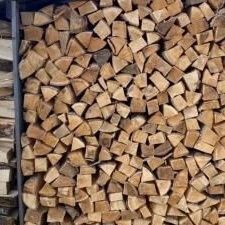 ОГУ" Вязовский учебно-опытный лесхоз"