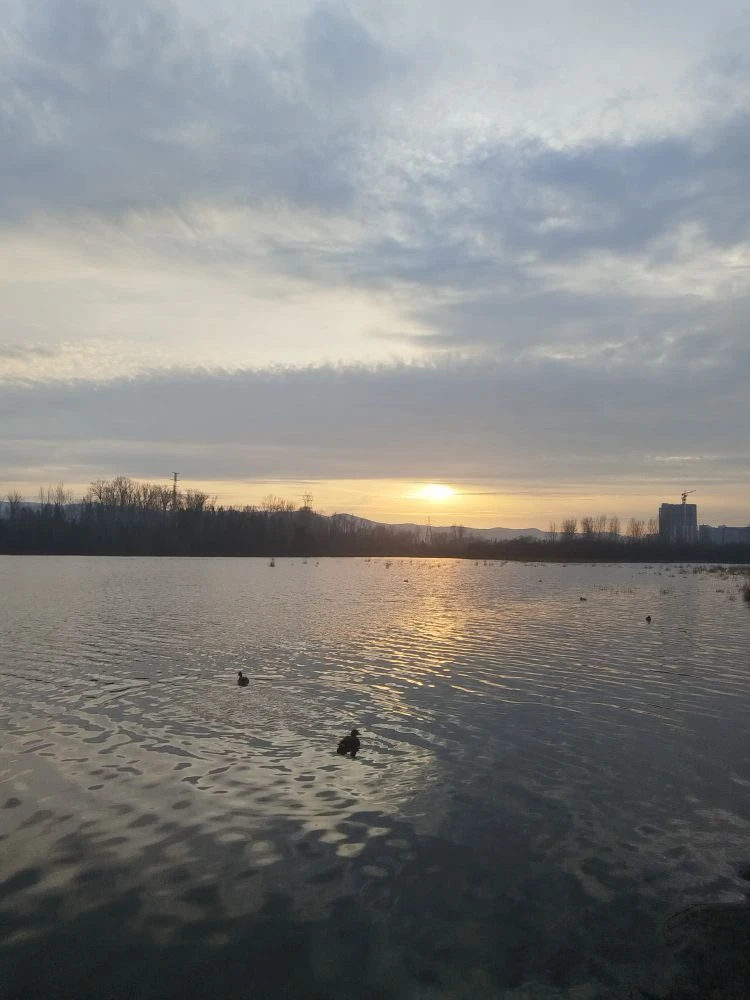 Бизнес-онлайн