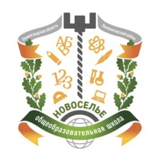 МОУ "Новосельская школа"