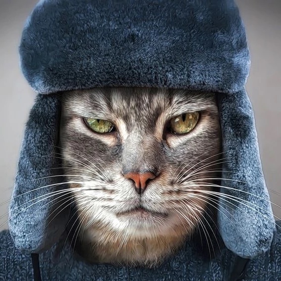 Кошкин Сибиряк