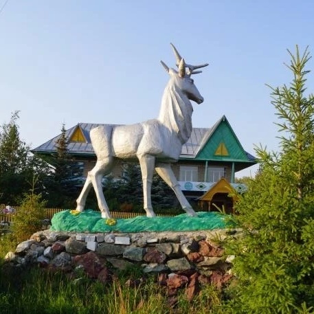 ГАУ РБ «Абзелиловский лесхоз»
