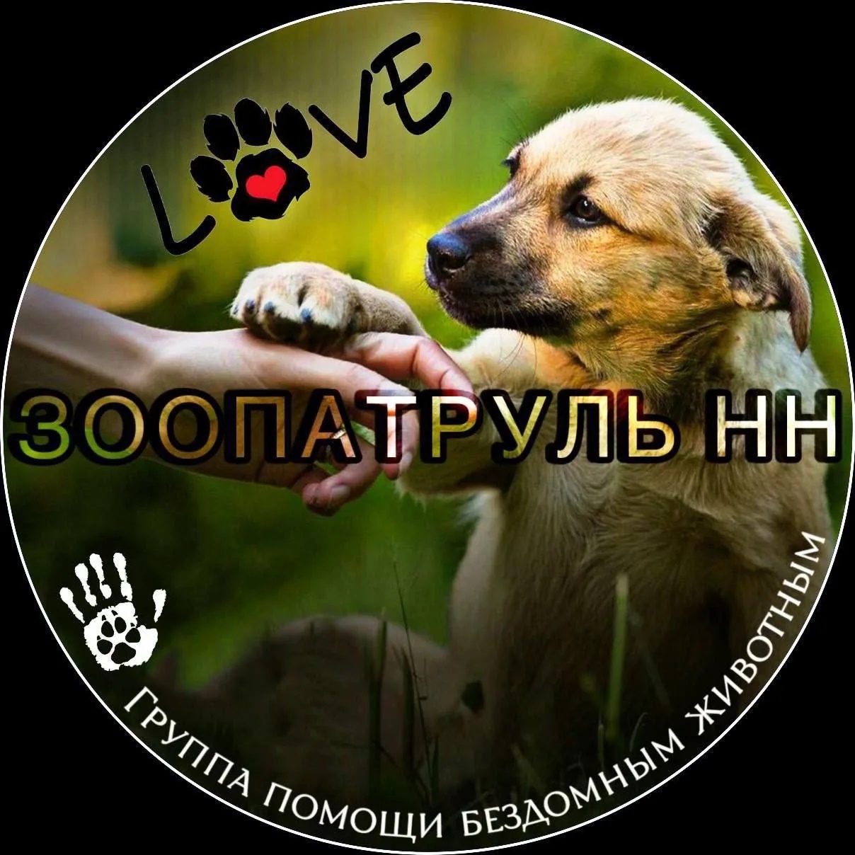 ЗООПАТРУЛЬ (группа помощи бездомным животным)