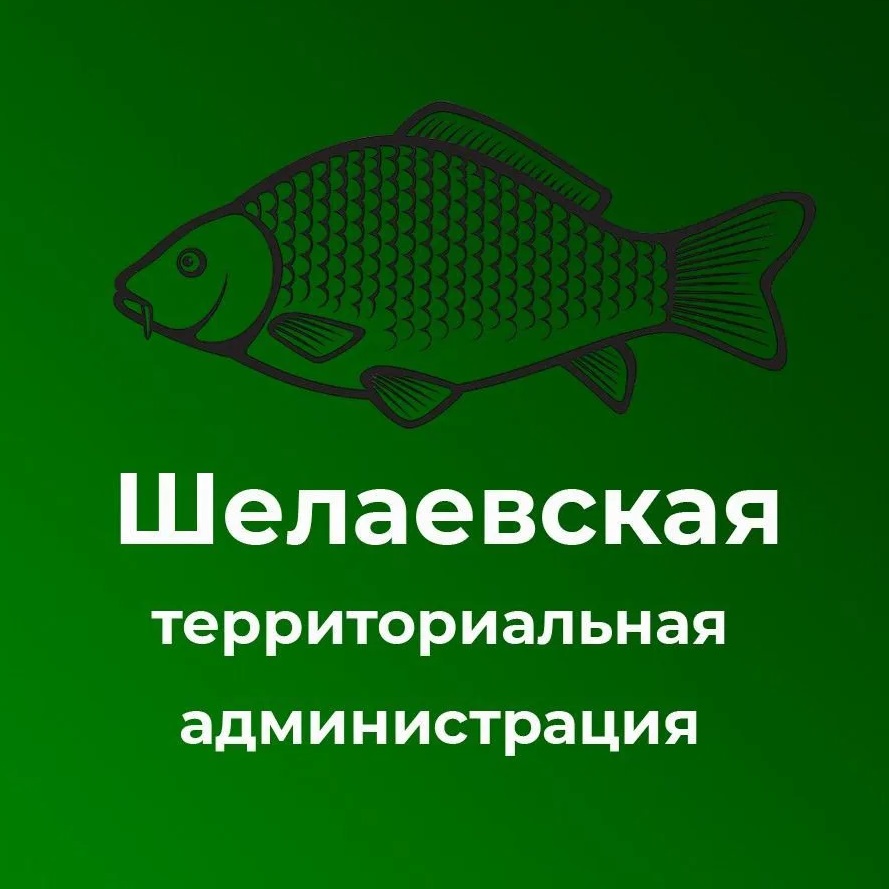 Шелаевская территориальная администрация