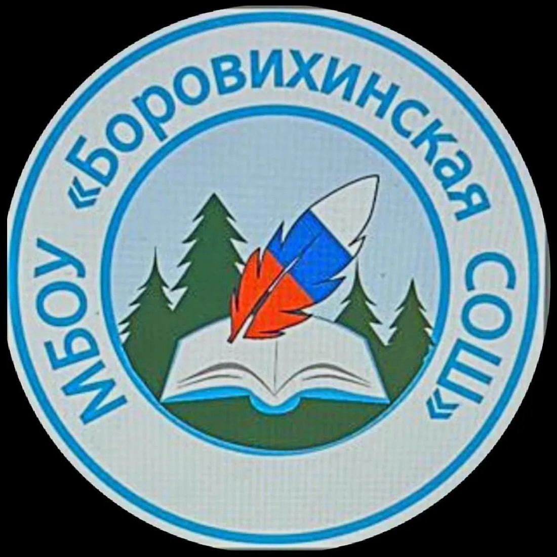 МБОУ "Боровихинская СОШ"