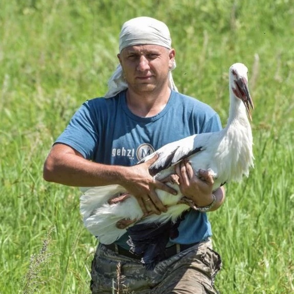 🐦 Птицы Амура 🐦
