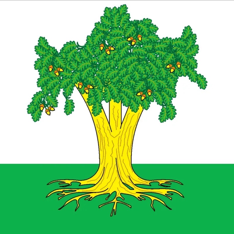 Кайбицкий муниципальный район РТ