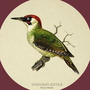 Ресторан Зелёный дятел