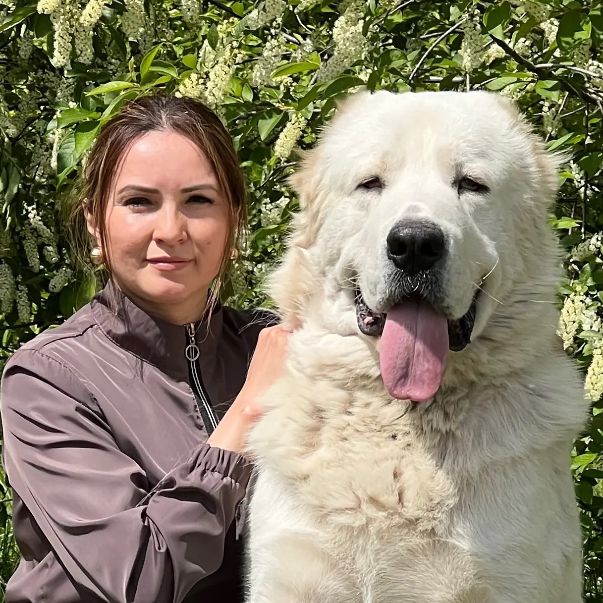 Логотип канала Питомник ТИМЕРТАШ среднеазиатская овчарка алабай