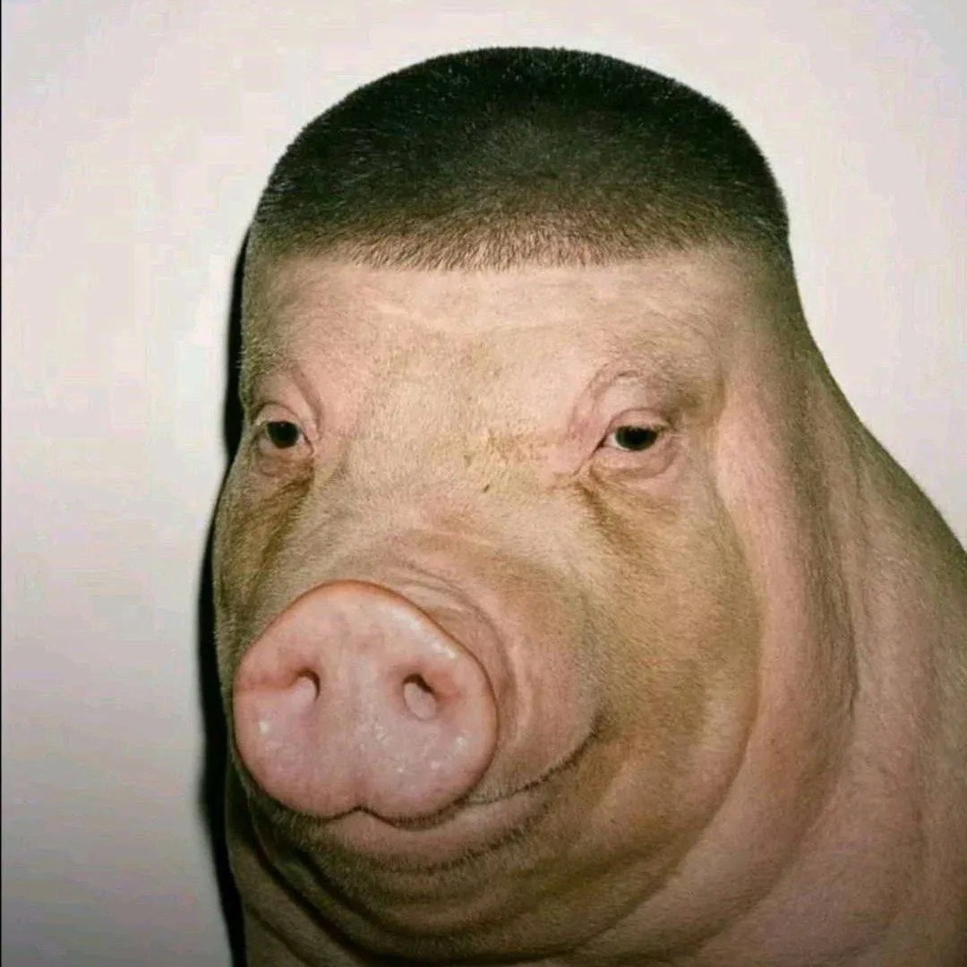 Привет! Как дела?