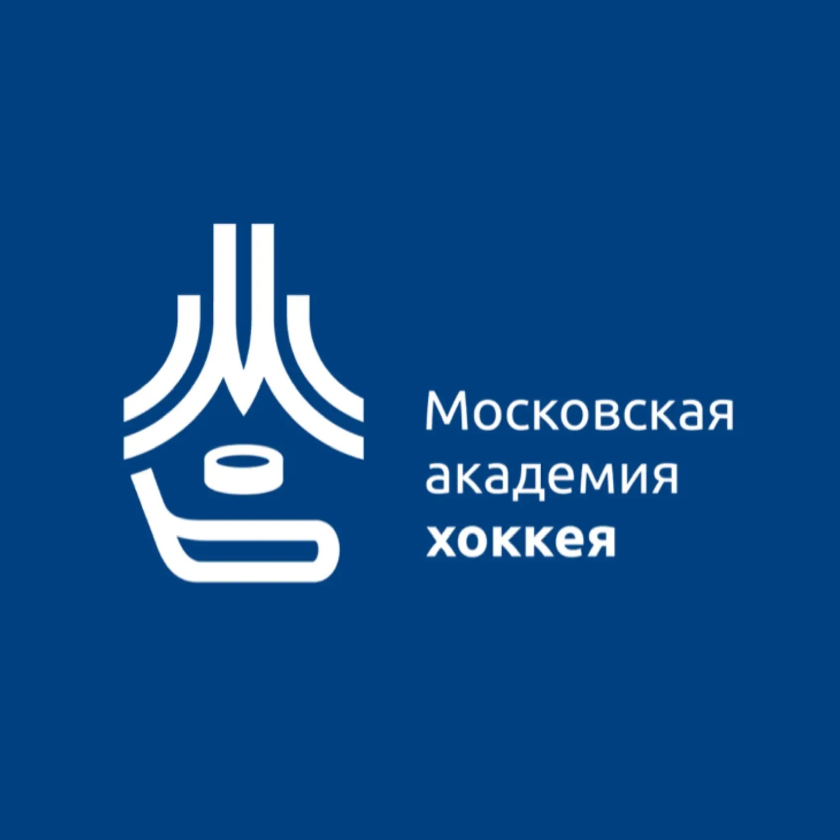 Фотография канала Max ГБУ ДО «Московская академия хоккея»