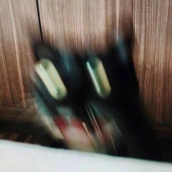 Логотип канала мистика низкого сорта