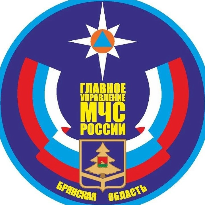 Логотип канала МЧС Брянской области